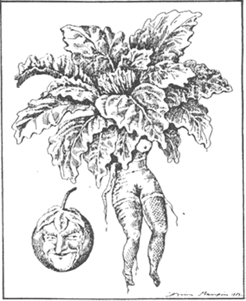 clip_image004