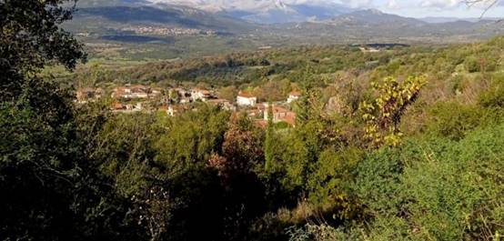 Ξηρόμερο : Ζητούν άμεσα μέτρα προστασίας για το Βελανιδοδάσος